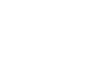 light logo